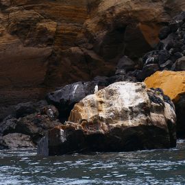 Galápagos_32 Galápagos_32