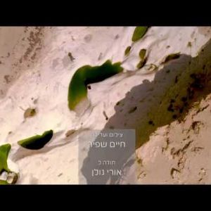 גבי פרס גבי פרס